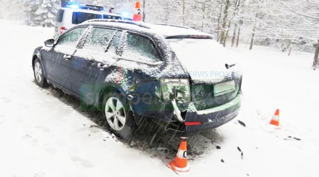 Řidička na Jesenicku si raději hlídala psa, než volat