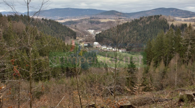 V Jindřichově proti sobě ostře stojí koalice a opozice