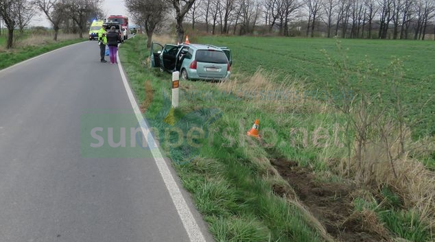 Na Jesenicku řidička čelně narazila do stromu