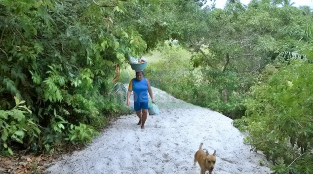 Cestu necestou po Brazílii ve vikýřovickém muzeu