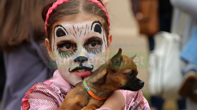 Odtajňujeme seznam rozhodčích Šumperského hafana 2016