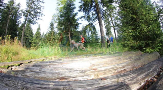 "Závod půjdem pro malého Matěje, který trpí vzácným Angelmanovým syndromem," říká Pavel Zitta