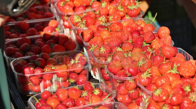 První pátek v červnu obsadí Hlavní třídu v Šumperku Farmářské trhy
