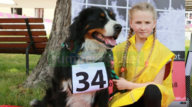 HAFAN SYMPAŤÁK 2016 se jmenuje MAX