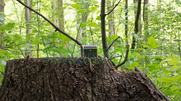 Šumperkem vládne truhličková mánie