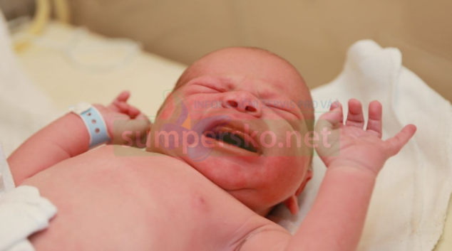 V Nemocnici Šumperk vedou Elišky a Filípci