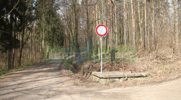 Deset milionů poputuje na hospodaření v lesích