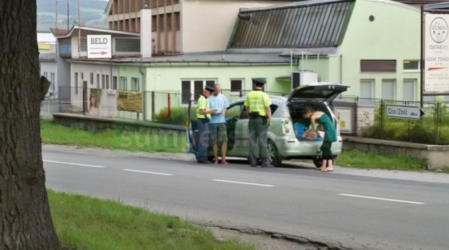 Na Šumpersku policie zkontrolovala 602 řidičů a zjistila 108 přestupků