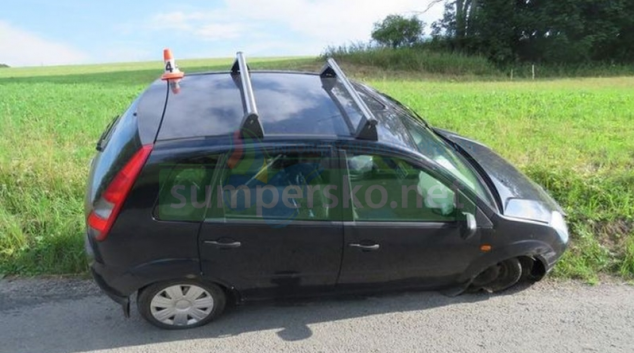 Řidič u Šléglova se chtěl vyhnout lesní zvěři