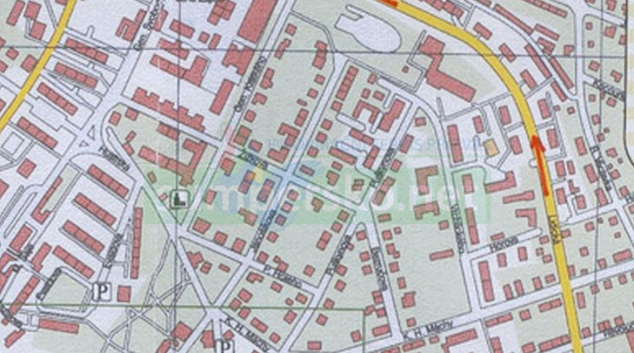 V některých lokalitách Šumperka se vyskytují potkáni v travnatém pásu