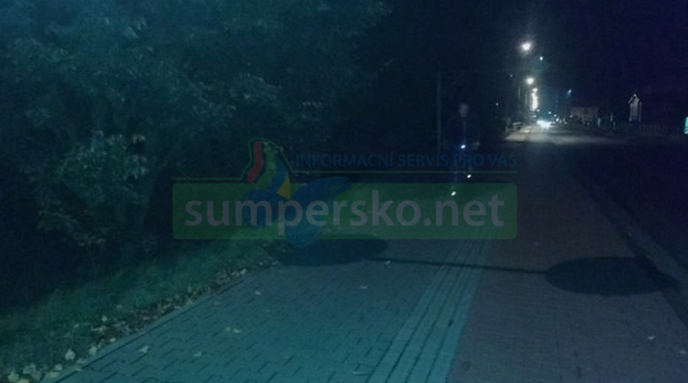 Bezpečnost cyklistů na silnicích s příchodem podzimu