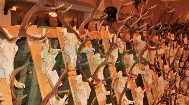 Zloděj ukradl paroží za deset tisíc korun