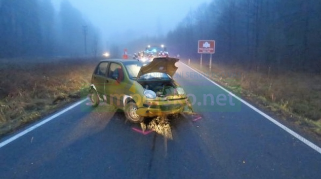Na Jesenicku havarovali řidiči pod vlivem alkoholu, nebo drog