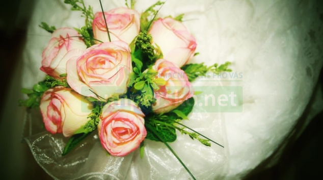 Vdavek chtivá žena přišla o 750 dolarů