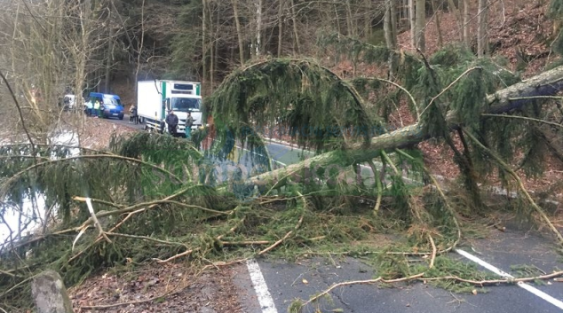 Silný vítr v kraji zaměstnává hasiče