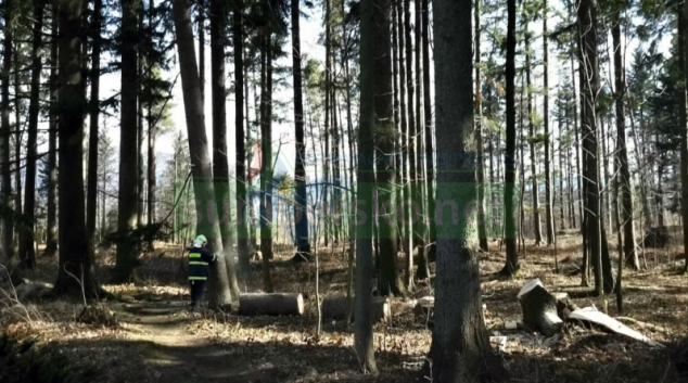 Následky silného větru o víkendu zaměstnávaly hasiče