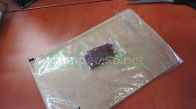 Místo „pravého šafránu“ prodejce zaslal jen neznámé listí