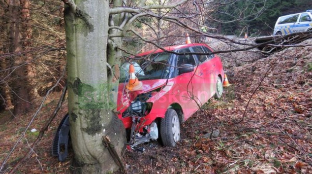 Řidička na Jesenicku čelně narazila do stromu
