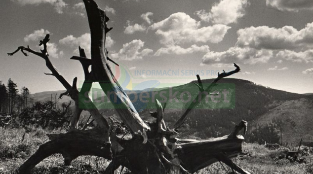 Výstava Jan Byrtus – Tváří v tvář přírodě