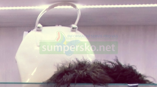 Zloděje dámských kabelek vyplašil akustický alarm