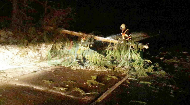 Vydatné sněžení si vyžádalo také výjezdy hasičů