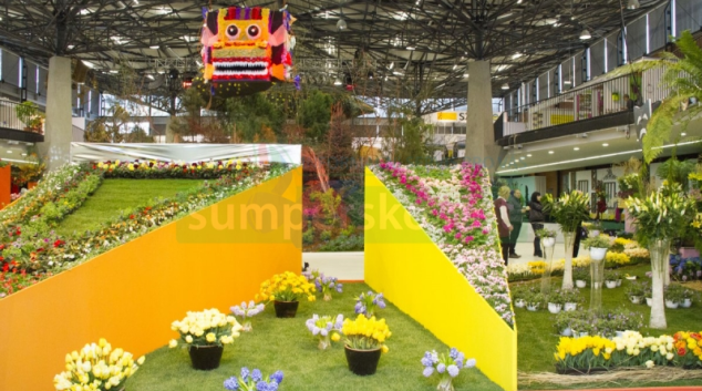 Jarní etapa Flory Olomouc potrvá až do neděle