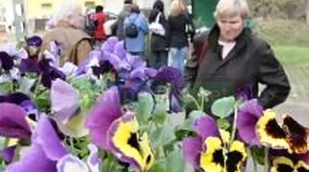 Hodnocení prodejců na Floře Olomouc poznamenal výsledek kontrol