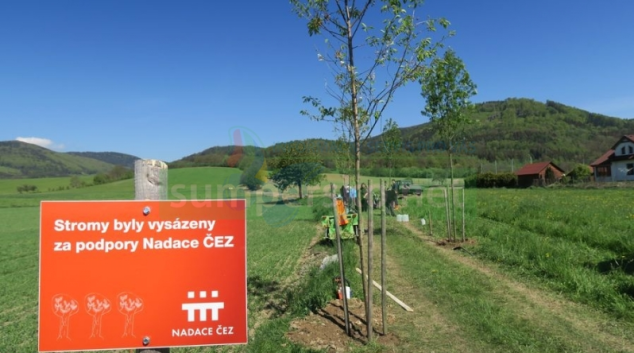 Obce mohou získat 150 tisíc korun na výsadbu nové aleje