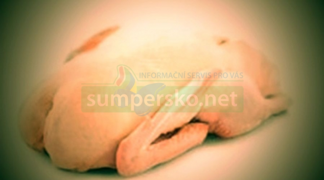 Mražené kačeny se chmatákovi nepodařilo ukrást