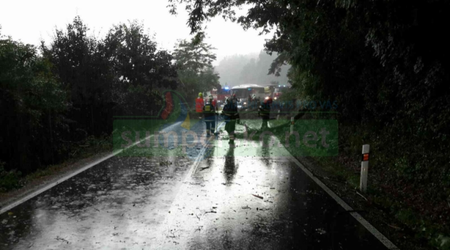 Hasiči na Šumpersku likvidovali následky spojené s bouřkami