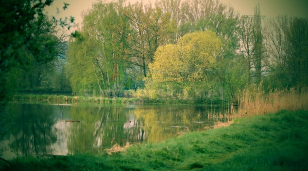 Čtyřicátník ze Zábřehu jezdil i havaroval cizím vozidlem