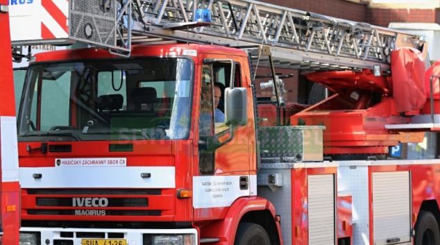 Hasiči v Šumperku chytali netopýry