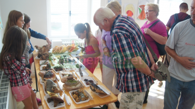 Šumperské muzeum připravuje výstavu hub
