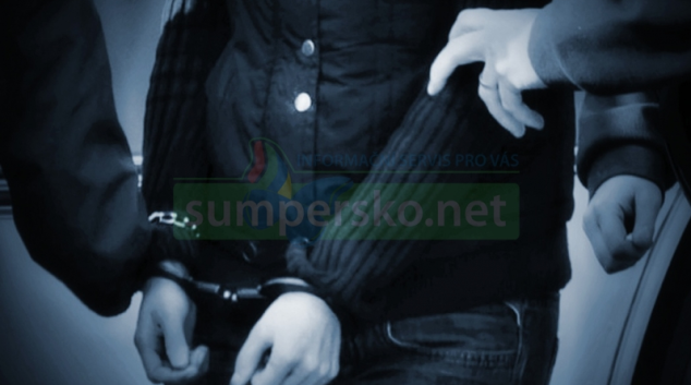 Opilá řidička skončila v policejní cele