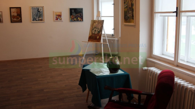 Rodačka z Krásného na Šumpersku vystavuje v Hollarově galerii