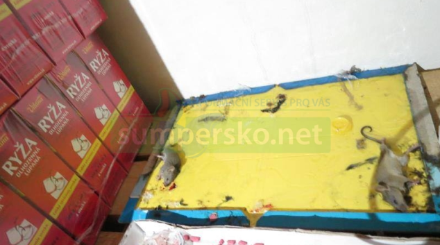 Potravinářská inspekce letos uzavřela téměř sto třicet provozoven