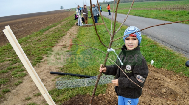 V Olomouckém kraji oslavili den stromů