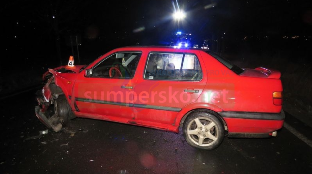 Řidičku na Mohelnicku překvapil koňský potah