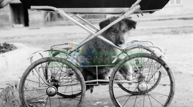 Vlastivědné muzeum připravilo vzpomínku na Josefa Pavlíčka