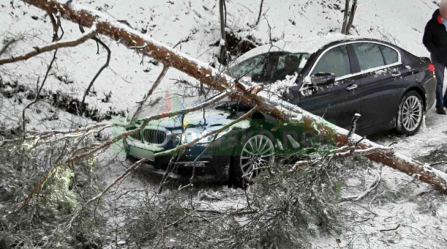 Strom spadl na vozidlo v Bohdíkově - Komňátka