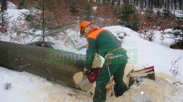 Kdo vyhrál zakázky "lesnický trendr 2018 +"