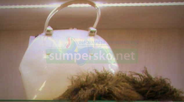 Zloděj okradl zákaznici šumperského kosmetického salonu