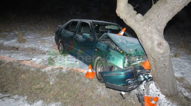 Řidička čelně narazila do kmene stromu