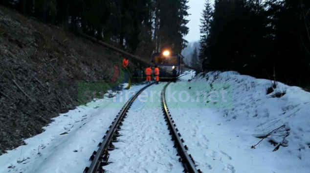 Motorový vlak najel do kmene stromu