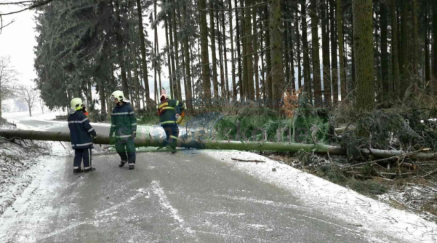 Hasiči v kraji odstraňovali popadané stromy a uvolněné střešní krytiny