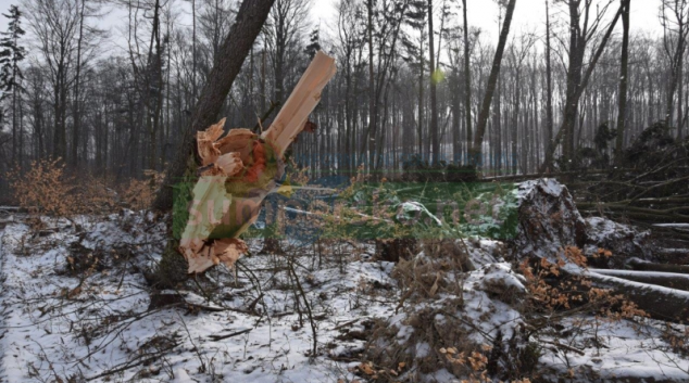 AKTUALIZOVÁNO! Kalamita v lesích si vyžádá zákaz vstupu