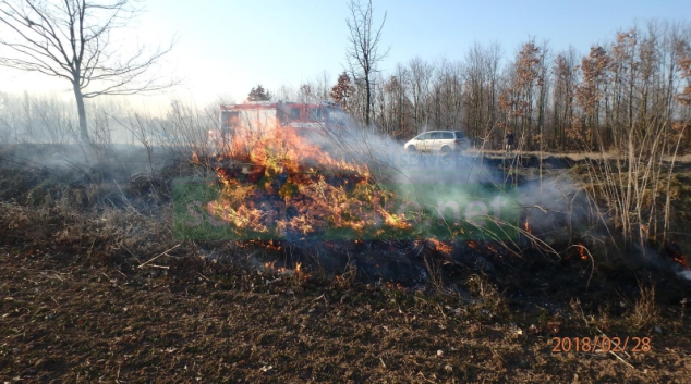 Vypalování trávy versus pálení zahradního odpadu