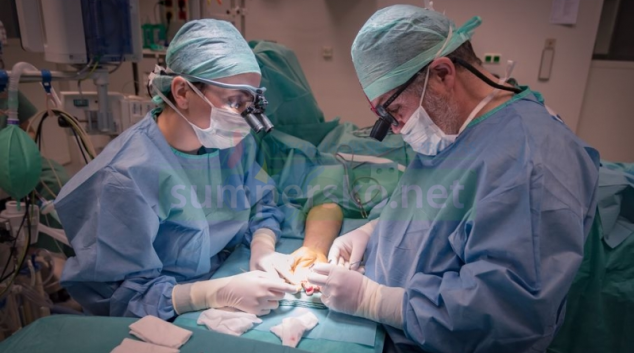 Plastičtí chirurgové ve FN Olomouc, pod vedením primáře Bohumila Zálešáka, pomohli ženě, kterou napadl bojový pes