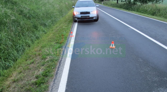 Lesní zvěř potrápila ve středu 23. května dva řidiče