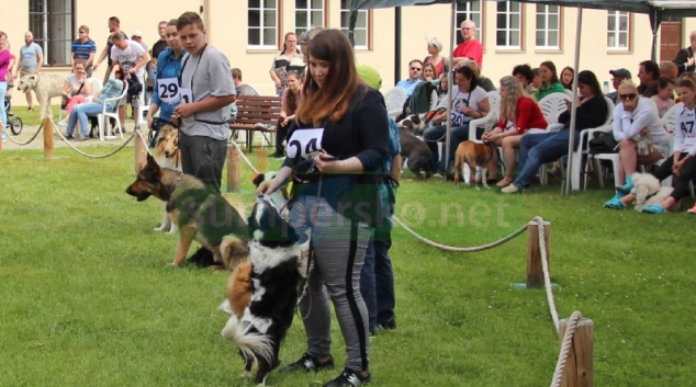 Šumperský hafan 2018 se koná v neděli 27. května